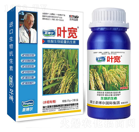 水稻专用叶面肥-多糖生物酶诱抗肽-叶宽-圣博尔生物