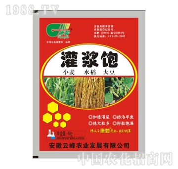 云峰-小麦水稻灌浆饱