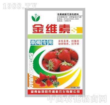 湘科-草莓-腐植酸