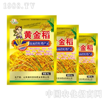 百乐肥业-黄金稻
