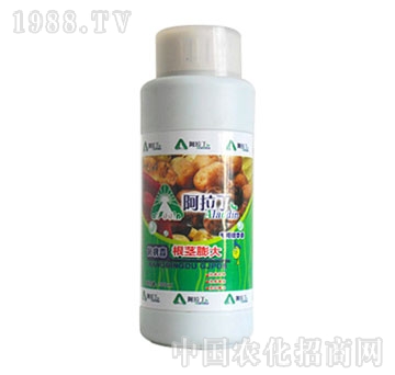 阿拉丁-根茎膨大专用精华素500ml