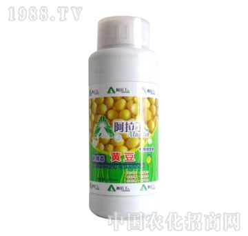 阿拉丁-黄豆专用精华素500ml