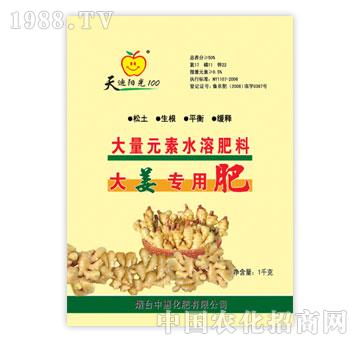 中惠-大姜专用大量元素水溶肥料