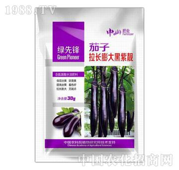 中山肥业-茄子拉长膨大黑紫靓