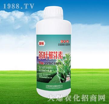 茶叶催芽素-嘉佳福农业