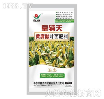 皇辅天黄腐酸叶面肥料（玉米）-嘉有肥料