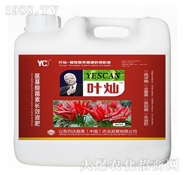 辣椒专用氨基酸菌素长效液肥-叶灿-沃施美
