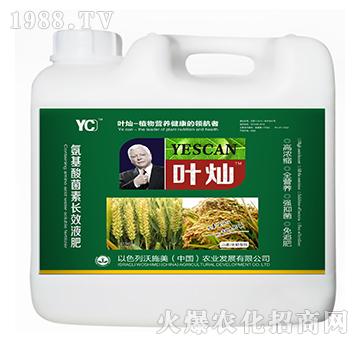 小麦水稻专用氨基酸菌素长效液肥-叶灿-沃施美