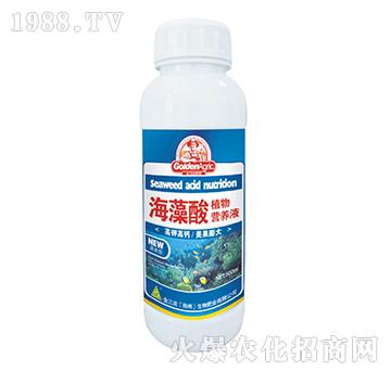 海藻酸植物营养液-金三农