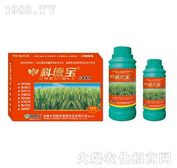 小麦专用营养增产调理剂-科德宝