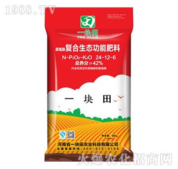 腐植酸复合生态功能肥料24-12-6-一块田