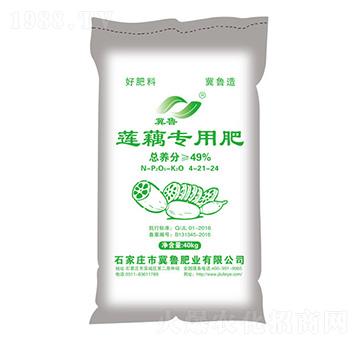 蓮藕專用肥-冀魯肥業