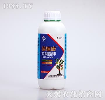 亚磷酸钾0-520-340+TE-葆植康-强农生物