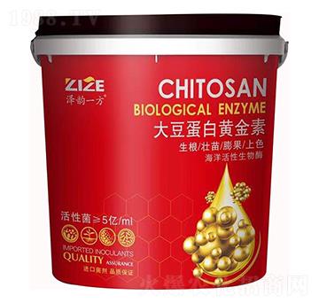 大豆蛋白黄金素-中农恒大