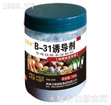 块根块茎专用-B-31诱导剂-亿夭丰-力格国际