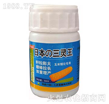 玉米矮化专用-日本三灵王（蓝瓶）-伟科肥业