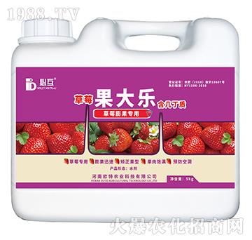 草莓膨果专用肥-果大乐-欧特农业