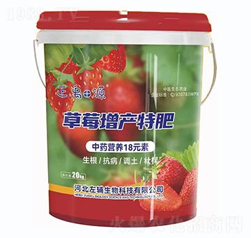 草莓增产特肥-正禹源-左辅