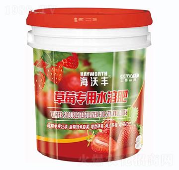 草莓专用水溶肥-海沃丰-金沃普特