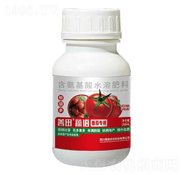 番茄专用含氨基酸水溶肥料-善田蔬语-善田