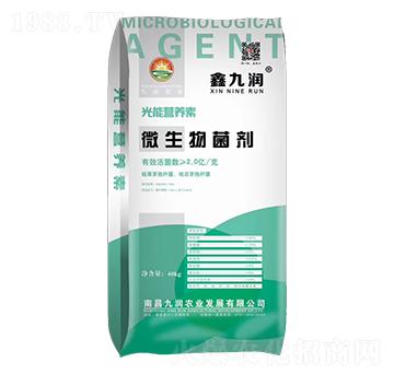 鑫九润微生物菌剂-九润农业