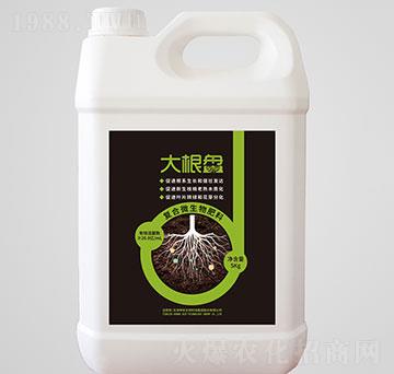 复合微生物肥料-大根盘-坤禾生物