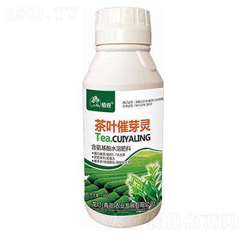 茶叶催芽灵-植观-龙灯农业