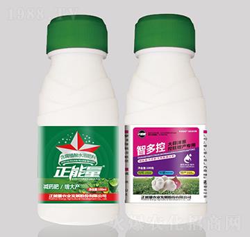 大蒜洋葱控旺增产专用肥（瓶）-智多控-正能量
