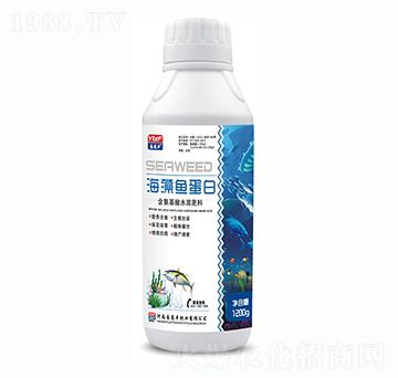 含氨基酸水溶肥料-海藻鱼蛋白-易莱丰