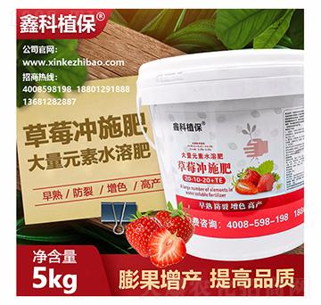草莓专用冲施肥20-10-20+TE-鑫科植保