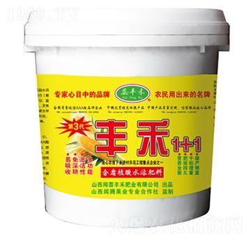 丰禾1+1含腐植酸水溶性肥料(玉米专用)-蕊丰禾